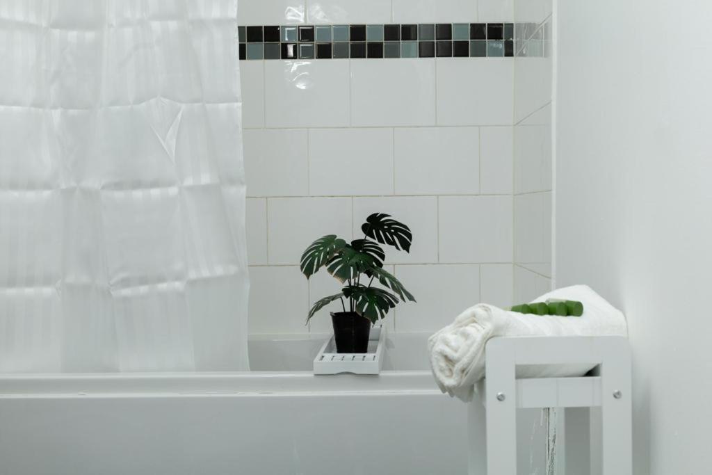 Spacious City Centre 2 Bedroom Apartment - Lt Apartment Leicester Zewnętrze zdjęcie